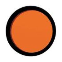 GSO 1.25" #21 Orange Filter