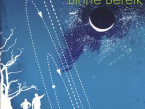 Sterrekunde Binne Bereik